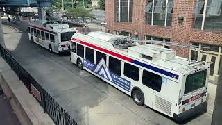 Trackless Trolleys Trolleybuses in Philadelphia 2023 [upl. by Annuahs]