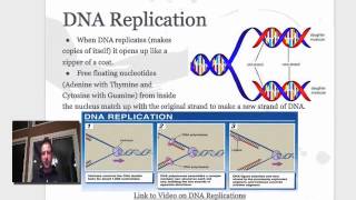 Science 24 Unit 3 Topic 3 Inherited Characteristics [upl. by Nyrahtak]