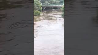 Yarra Glen Water Levels Going Up [upl. by Araem]