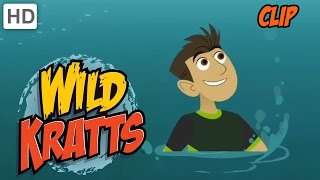 Wild Kratts  Olympic Diving [upl. by Eceertal]