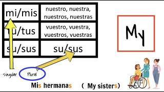 Possessive adjectives in Spanish for beginners how to say my your his her their explanation [upl. by Otsenre]