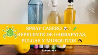 Eliminar garrapatas Repelente casero para Garrapatas Pulgas y Mosquitos remediocasero garrapatas [upl. by Adrial]