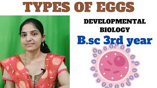 Types of Eggs in developmental biology microlecithal mesolecithal  megalecithal telolecithal [upl. by Allana]