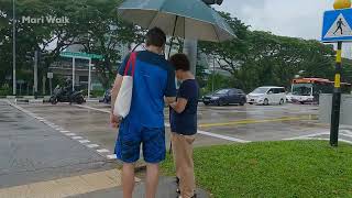 Ep 19  Relaxing Rain Walk in the RAIN  Singapore Rail Corridor  ASMR White Noise  Sleep therapy [upl. by Wallie]