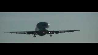 Airbus Beluga 2 Landing Hawarden Airport 9th September 2014 [upl. by Eihtur]