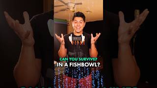 Can You Survive in a Fishbowl 👀  ASMR [upl. by Adnuhsat163]