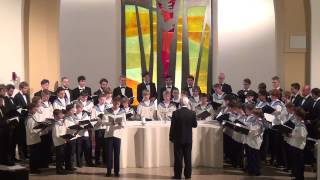 Laudate Dominum  Zürcher Sängerknaben Zurich Boys Choir [upl. by Valerle]