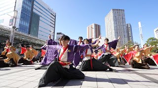 静岡大学よさこいサークルお茶ノ子祭々 『燈光』📍虹彩よさこい キタラ会場 20240310T1418 [upl. by Ndnarb459]