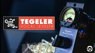 Quick Hits Tegeler Audio Vocal Leveler 500 Series Compressor [upl. by Aigneis]