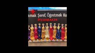 Diyarbakır Kadın Halayı Jina Gowend folklorarşivi halkoyunları folkdance diyarbakır [upl. by Sheree]