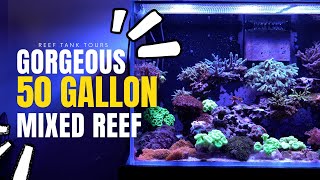 Gorgeous Mixed 50 Gallon Reef  Canadian Tank Tours  Wael EF [upl. by Tayler]