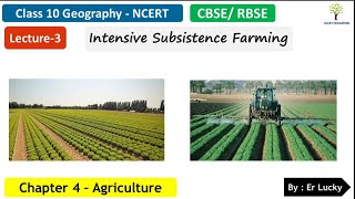 Intensive Subsistence Farming Chapter 4 Agriculture Class 10 Geography NCERT  CBSE  RBSE  Part 3 [upl. by Mazman188]