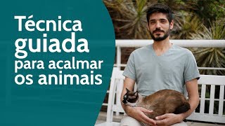 Tecnica guiada para acalmar os animais [upl. by Anikes991]