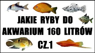 Jakie ryby do akwarium 160  200 litrów Część 1 Akwarystyka [upl. by Akiras990]