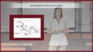 Farmacología de los hipoglucemiantes orales 1ª Parte [upl. by Hiram]