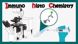 Immunohistochemistry  How to perform immunohistochemistry  application of immunohistochemistry [upl. by Addi]