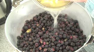 How to make rhubarb and blackberry jam [upl. by Taddeusz]