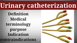 Urinary catheterization [upl. by Areyk]