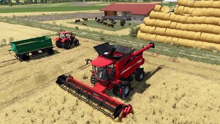 Harvest Time With Case IH Axial Flow 7150  Farming Simulator 22 [upl. by Naman]