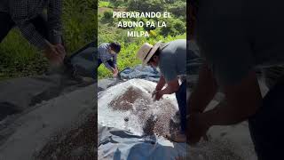 PREPARANDO EL ABONO PA LA MILPA san Miguel Comitlipa guerrero 🇲🇽 [upl. by Lakim]