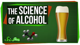 The Science of Alcohol From Beer to Bourbon [upl. by Liahus]