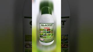 glacpot plant growth regulator natco short viral tonic [upl. by Silvan746]