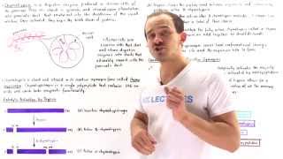 Proteolytic Cleavage of Digestive Enzymes [upl. by Menard]