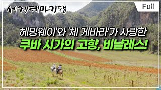 Full 세계테마기행  마침내 쿠바 카리브해 낭만의 여정 [upl. by Eikcir]