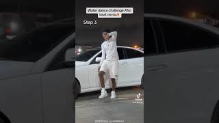 Tyla  water challenge Afro remix official dance tutorials by official lhorray [upl. by Nalid454]