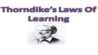 Edward Thorndikes Three Laws of Learning Laws of Learning 3 Laws of Learning [upl. by Anatol]