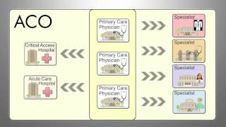 The ABCs of ACOs [upl. by Harvie865]