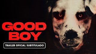 Good Boy 2023  Tráiler Subtitulado en Español [upl. by Cerf370]