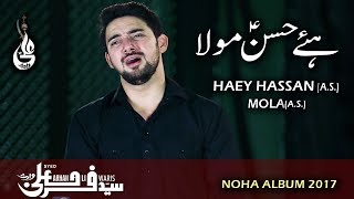 Farhan Ali Waris  Hay Hassan Mola  Noha  2017 [upl. by Niai451]