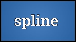 Spline Meaning [upl. by Nymzaj]