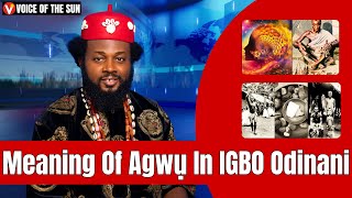 Meaning Of AGWU In Igbo Odinani  Understanding AGWU In Igbo Cosmology  Igbo Spirituality [upl. by Illa]