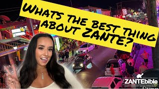 What is the BEST thing about ZANTE [upl. by Ibbob370]