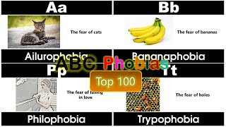 ABC Phobias for Children  Kids  Top 100 [upl. by Anelrahs]