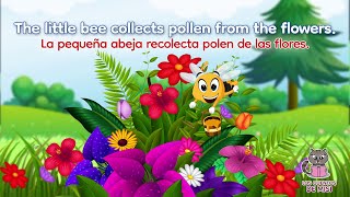 ✔✔✔ THE LITTLE BEE Cuento en inglés para niños con subtítulos  Cuento bilingüe INGLÉS ESPAÑOL [upl. by Marten]