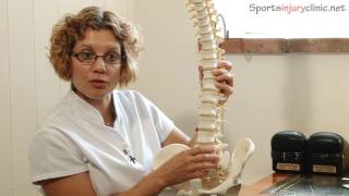 Sacroiliac Joint Pain Si Joint  A Chiropractors View [upl. by Renwick]