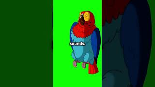 10 Amazing Facts About Parrots You Didnt Know [upl. by Aerdnwahs675]