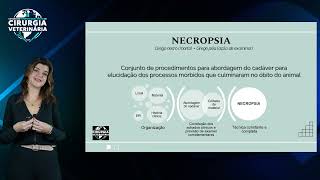 Aula 10 II Congresso Internacional Online de Cirurgia Veterinária  Necropsia no Pós Cirúrgico [upl. by Joleen]