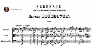 Beethoven  Serenade in D major Op 8 1797 [upl. by Bostow]