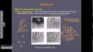 Bergeys Manual Vol 4  Gram positive bacteria [upl. by Kumar383]