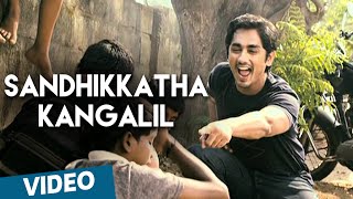 Sandhikkatha Kangalil Official Video Song  180  Siddharth  Priya Anand [upl. by Hwang]