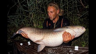 Karpfenfischen Österreich  CARP fishing Austria  Richard Fodermayer [upl. by Asilam]