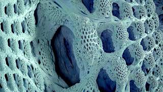 The Mandelbulb  3D Fractal Tour in 8k [upl. by Seagrave928]