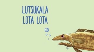 21 Lutsukala Lota Lota [upl. by Engleman226]