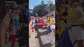 Desfile de burras y burriquitas en Venezuela [upl. by Atinad]