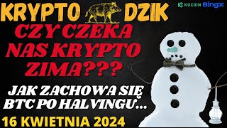 Dzika Analiza 17042024 CZY CZEKA NAS KRYPTO ZIMA BTCETHAMPGALAMLTNEARRNDR [upl. by Ynna500]