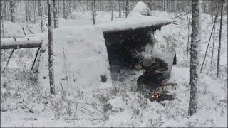 Building Complete Winter Survival Shelter  Wood structure moss roof fireplace Start To Finish [upl. by Andris]